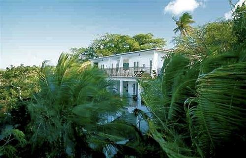 Sea Gate Hotel Vieques Kültér fotó